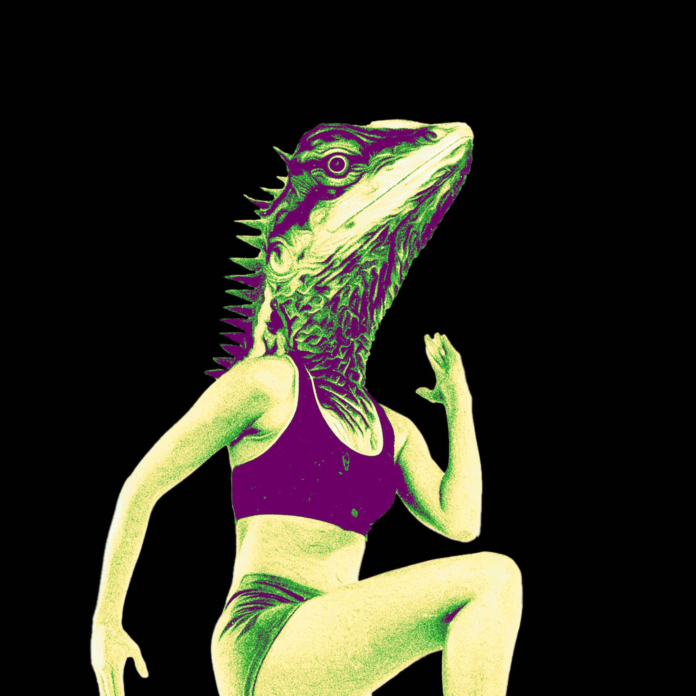 Hybrid figure